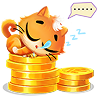 Cuan Tiger